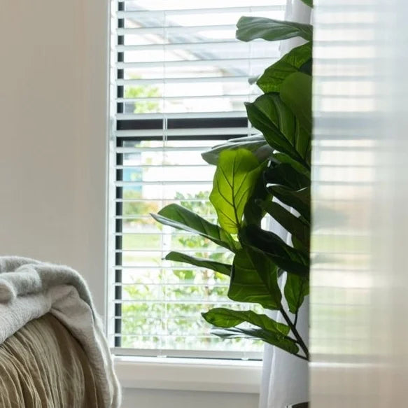 buy venetian blinds online